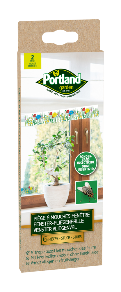 PIÈGE À MOUCHES FENÊTRE