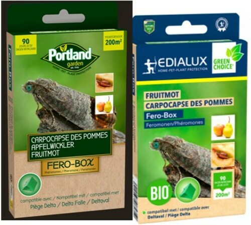 CARPOCAPSE DES POMMES