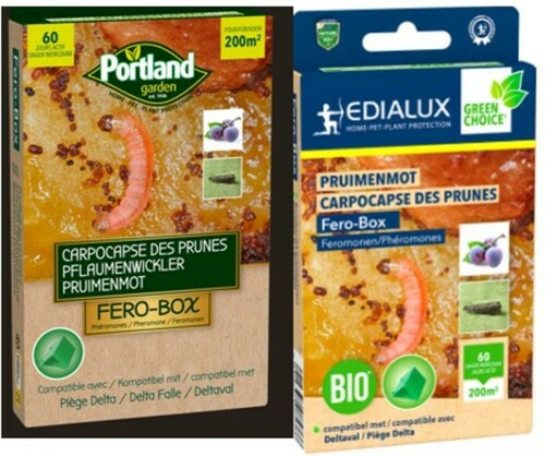 CARPOCAPSE DES PRUNES