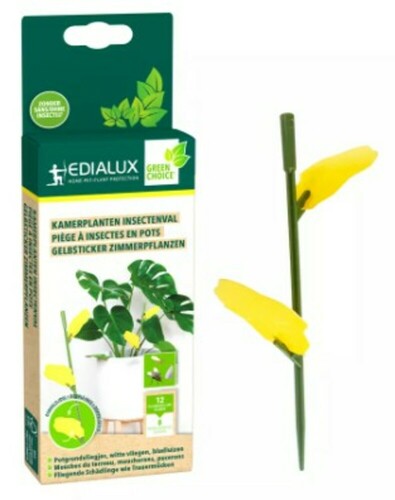 PIÈGE À INSECTES PLANTES D'INTÉRIEUR