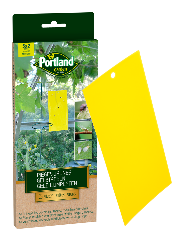 PIÈGES ENGLUÉS JAUNES