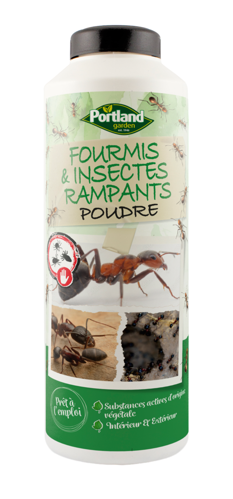POUDRE FOURMIS