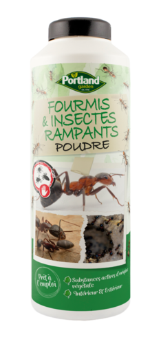 POUDRE FOURMIS