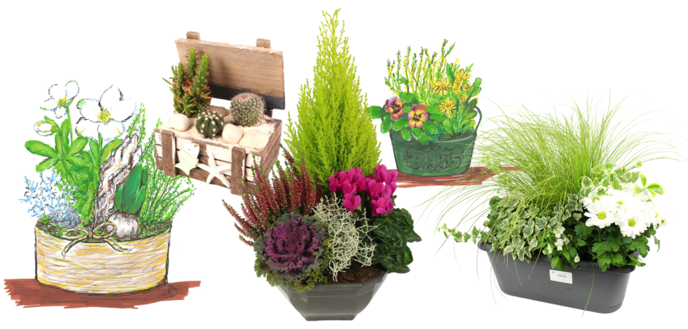 COMPOSITION SUR MESURE