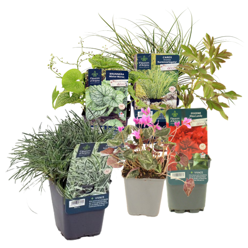 VIVACES COLLECTION Pot 1 L