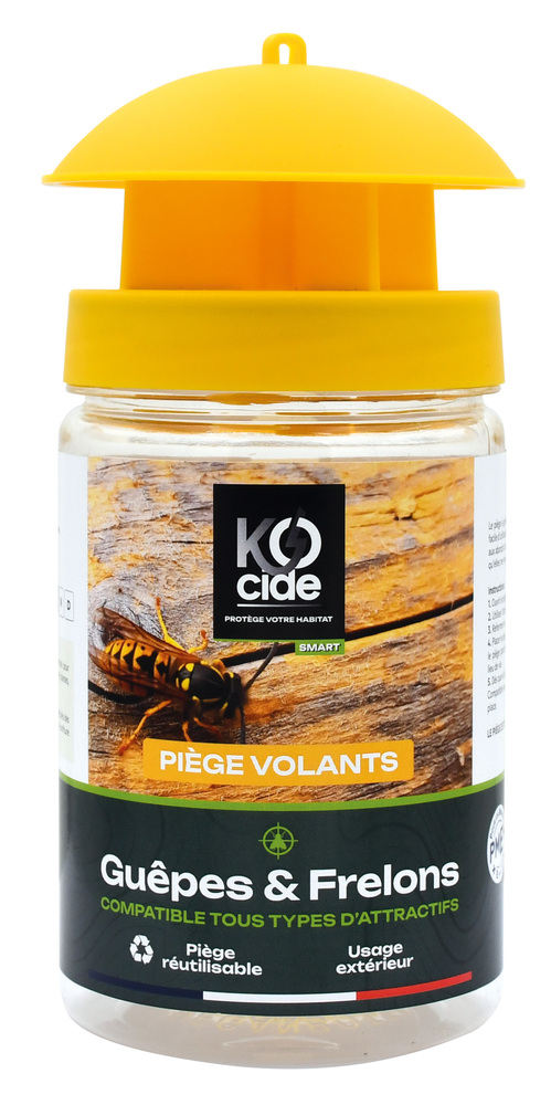 Piège guêpes et frelons