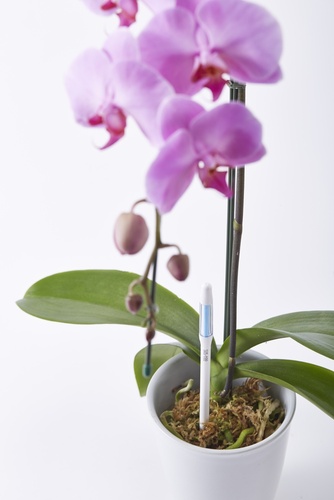 SUStee Soil Moisture Sensor – Medium Single Pack