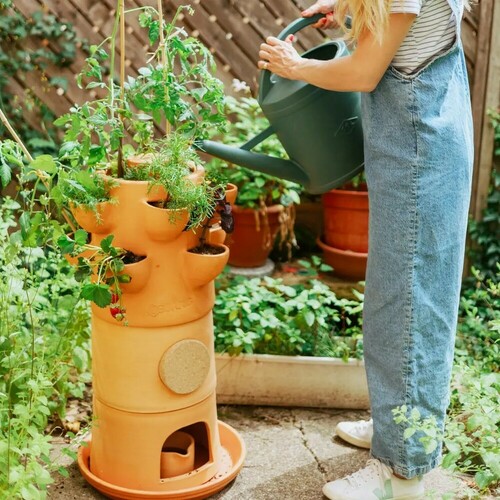 Composting planter Ceercle