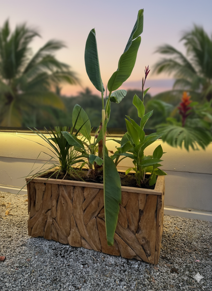 Jardinière en racine de teck - DecoIndo