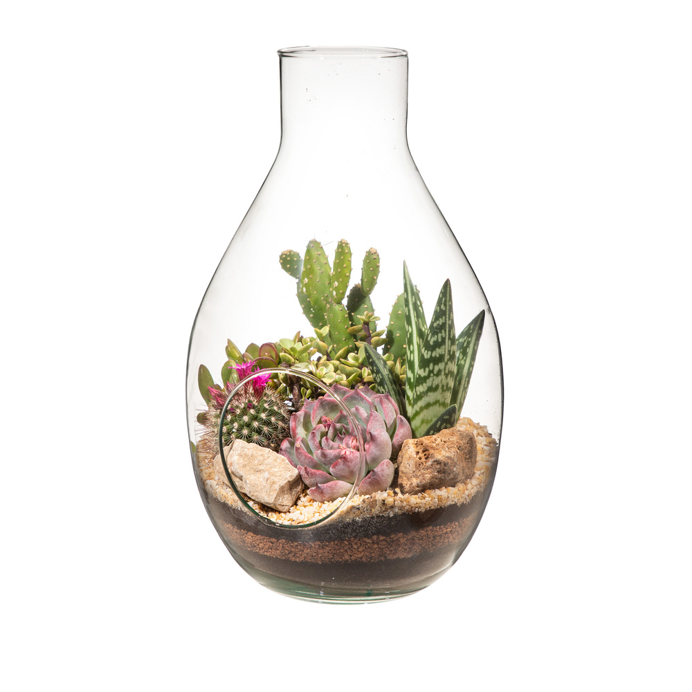 COMPOSITION EN VERRE - VASE BOUTEILLE Ø18 H30 - EN BOÎTE CARTON 17X17 CM