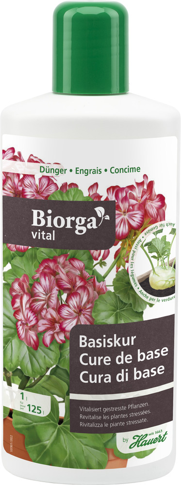 Biorga Vital Cure de base
