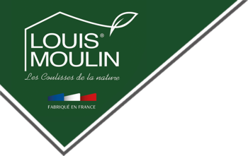 LOUIS MOULIN