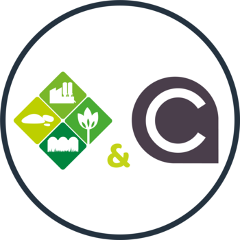 CHAMORIN PENEZ-HERMAN