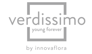 VERDISSIMO