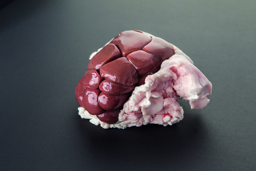 Rognon veau a/gras s/v UE/RU 1KG LBC - 52653