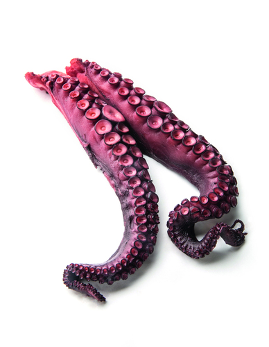 Tentacule poulpe ct 50/150G(250GX16)/4KG - 318287