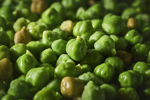 Pois chiche vert service 1KGx10 Bd VGI - 289404