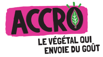 Stephane LECHEVALLIER