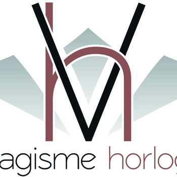 VH VISAGISME HORLOGER SA