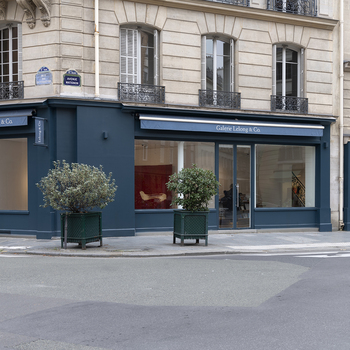 Tristan Van der Stegen