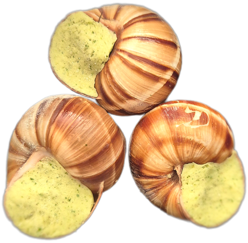 Escargots à la Bourguignonne