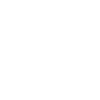 WINGO SWISSCOM (SUISSE) SA