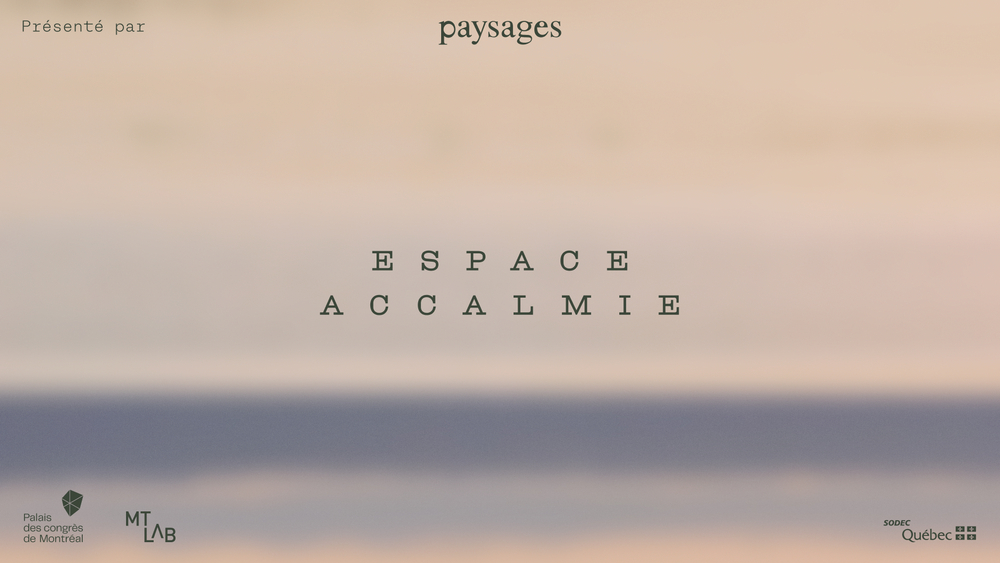 Espace Accalmie -  Salle de relaxation immersive  