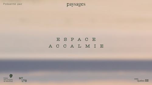 Espace Accalmie -  Salle de relaxation immersive  