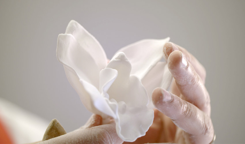 Chemical companies BASF and DSM equip themselves with SLS 3D printing solutions from Prodways