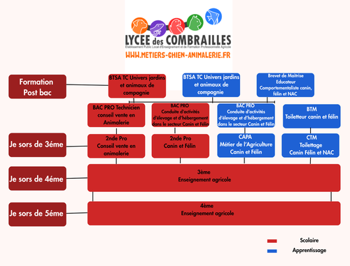 Quelles formations au Lycée des Combrailles 
