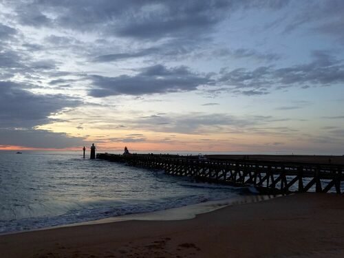 Animation et gestion de projets dans le secteur sportif