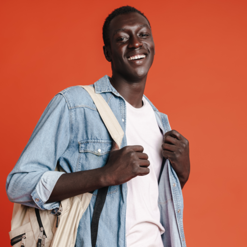 BTS Management Commercial Opérationnel