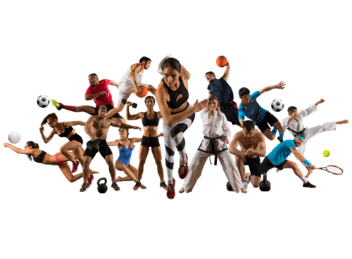 BPJEPS Activités Physiques pour Tous