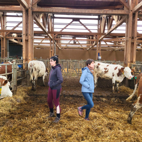 BTS Métiers de l’élevage (voie scolaire)