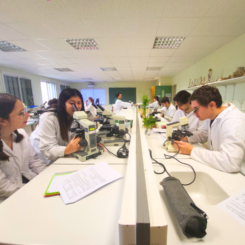 Classe Agro-Véto post BTSA/BTS