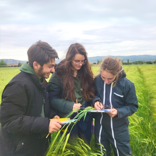 BTS Agronomie et Cultures Durables (voie scolaire)