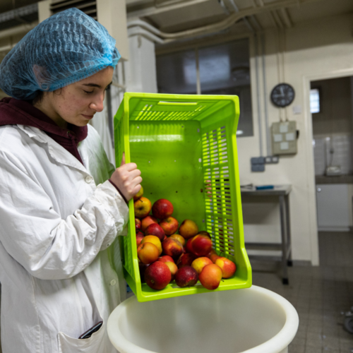 BTS BIOQUALIM (voie scolaire)