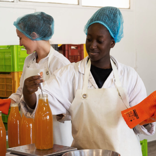 BTS BIOQUALIM (apprentissage)