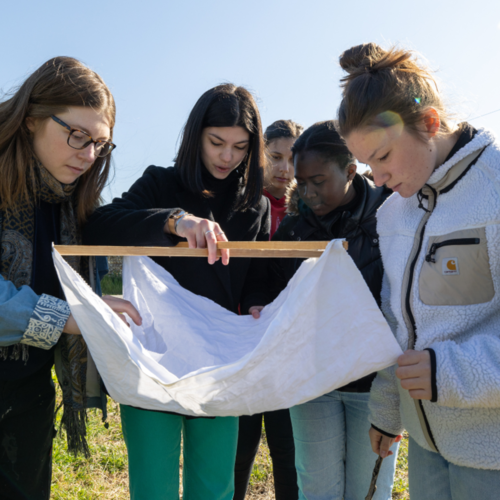 BTS Agronomie et Cultures Durables (apprentissage)