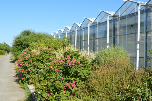 Exploitation agricole certifiée bio