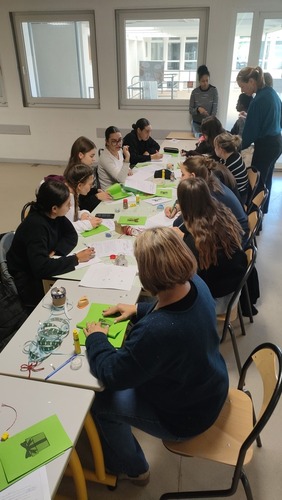 Diplôme d’État de Conseiller en Économie Sociale Familiale (DE-CESF)