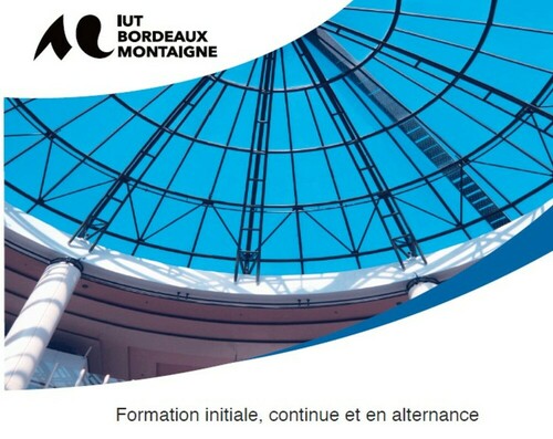 Métiers de l'animation sociale, socio-éducative et socioculturelle - Licence Professionnelle