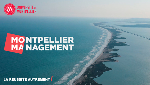 Présentation de Montpellier Management
