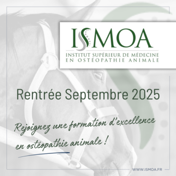 Ostéopathie animale : ISMOA