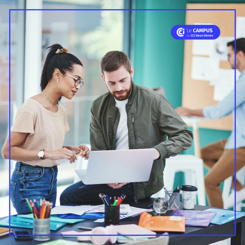 BAC+5 - Ingénieur d'Affaires