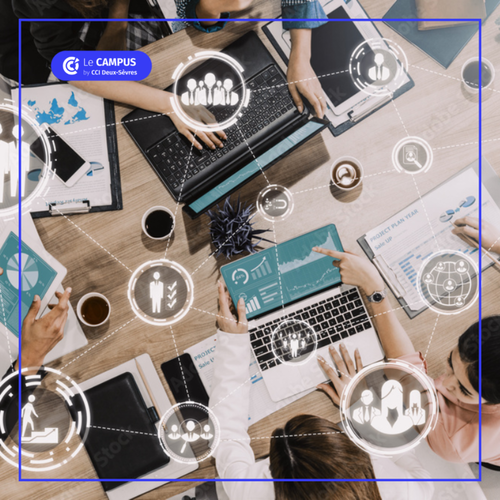 BAC+5 - Manager en Stratégie er Développement des Ressources Humaines