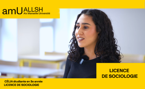 Licence de Sociologie