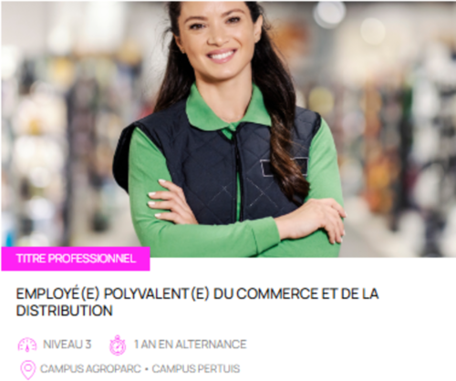 TITRE PROFESSIONNEL Employé(e) polyvalent(e) du Commerce et de la Distribution