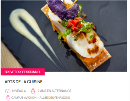 BREVET PROFESSIONNEL ARTS DE LA CUISINE
