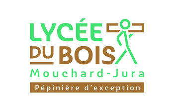 LYCEE DES METIERS DU BOIS DE MOUCHARD